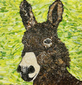 Donkey