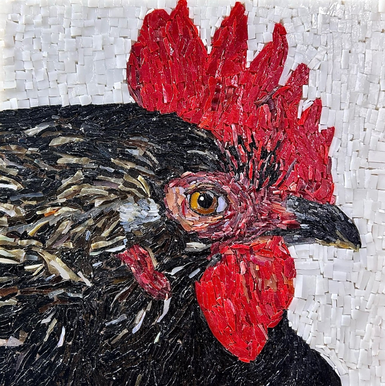 Bruce the Rooster
